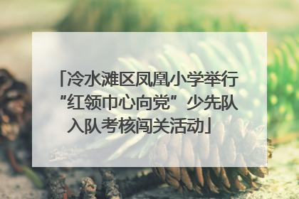 冷水滩区凤凰小学举行“红领巾心向党”少先队入队考核闯关活动