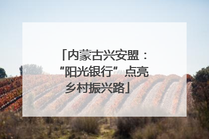 内蒙古兴安盟：“阳光银行”点亮乡村振兴路