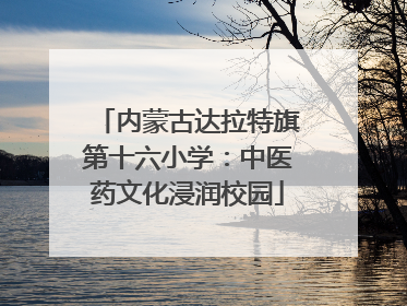 内蒙古达拉特旗第十六小学：中医药文化浸润校园