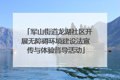 军山街道龙湖社区开展无障碍环境建设法宣传与体验督导活动
