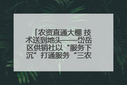 农资直通大棚 技术送到地头——岱岳区供销社以“服务下沉”打通服务“三农”最后一公里