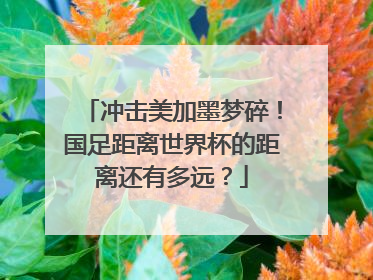 冲击美加墨梦碎！国足距离世界杯的距离还有多远？