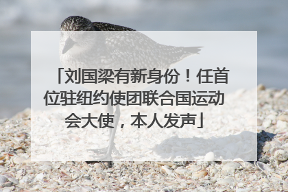 刘国梁有新身份！任首位驻纽约使团联合国运动会大使，本人发声