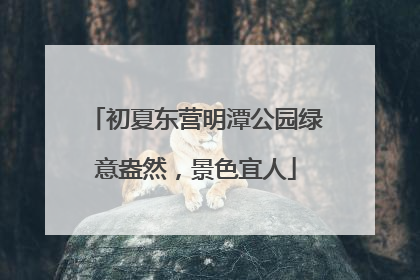 初夏东营明潭公园绿意盎然，景色宜人