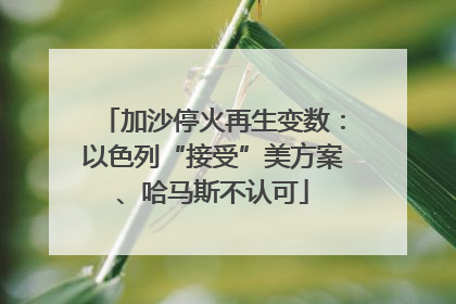 加沙停火再生变数：以色列“接受”美方案、哈马斯不认可