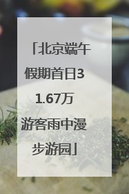 北京端午假期首日31.67万游客雨中漫步游园