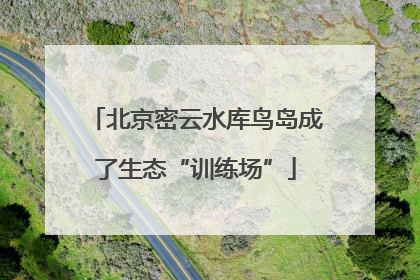 北京密云水库鸟岛成了生态“训练场”