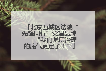 北京西城区法院“先锋同行”党建品牌——“我们基层治理的底气更足了！”