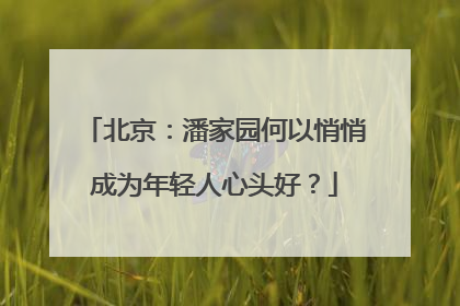 北京：潘家园何以悄悄成为年轻人心头好？
