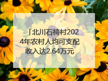 北川石椅村2024年农村人均可支配收入达2.64万元｜新闻发布最前线