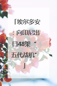 埃尔多安：向印尼出口48架“五代战机”