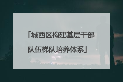 城西区构建基层干部队伍梯队培养体系