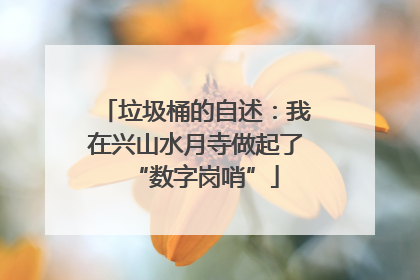 垃圾桶的自述：我在兴山水月寺做起了“数字岗哨”