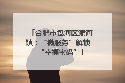 合肥市包河区淝河镇：“微服务”解锁“幸福密码”