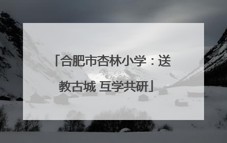 合肥市杏林小学：送教古城 互学共研