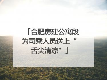 合肥房建公寓段为司乘人员送上“舌尖清凉”