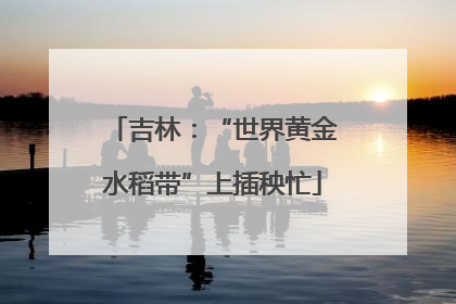吉林：“世界黄金水稻带”上插秧忙