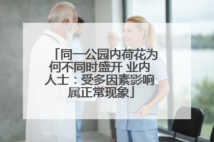同一公园内荷花为何不同时盛开 业内人士：受多因素影响 属正常现象