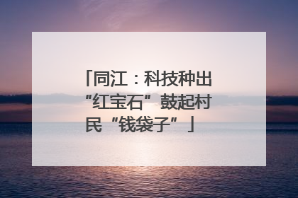 同江：科技种出“红宝石”鼓起村民“钱袋子”