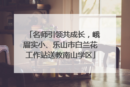 名师引领共成长，峨眉实小、乐山市白兰花工作站送教南山学区