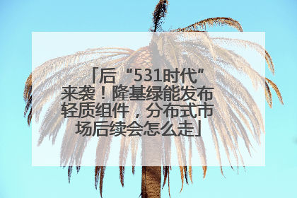 后“531时代”来袭！隆基绿能发布轻质组件，分布式市场后续会怎么走