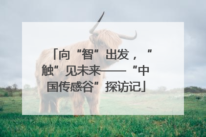 向“智”出发，“触”见未来——“中国传感谷”探访记