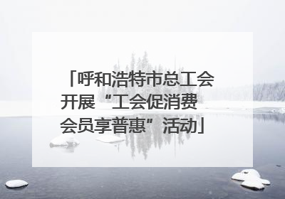 呼和浩特市总工会开展“工会促消费 会员享普惠”活动