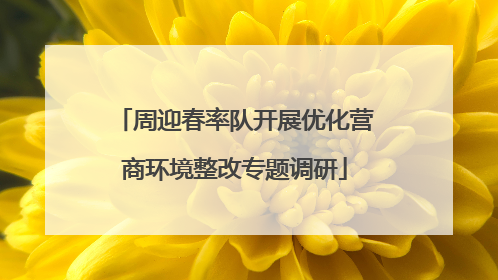周迎春率队开展优化营商环境整改专题调研