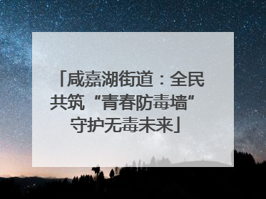 咸嘉湖街道：全民共筑“青春防毒墙” 守护无毒未来