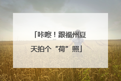 咔嚓！跟福州夏天拍个“荷”照