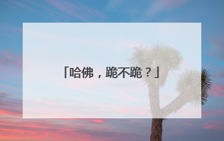 哈佛，跪不跪？