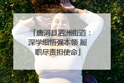 唐河县泗洲街道：深学细悟强本领 履职尽责担使命