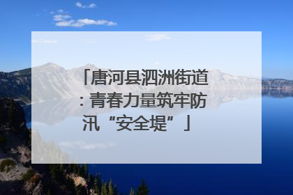 唐河县泗洲街道：青春力量筑牢防汛“安全堤”