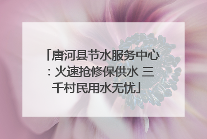 唐河县节水服务中心：火速抢修保供水 三千村民用水无忧