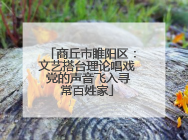 商丘市睢阳区：文艺搭台理论唱戏 党的声音飞入寻常百姓家