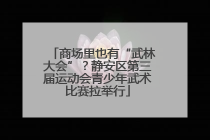 商场里也有“武林大会”？静安区第三届运动会青少年武术比赛拉举行