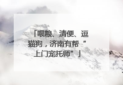 喂粮、清便、逗猫狗，济南有帮“上门宠托师”