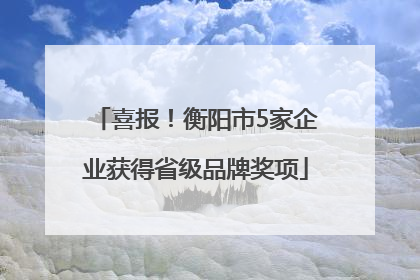 喜报！衡阳市5家企业获得省级品牌奖项
