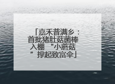嘉禾普满乡：首批猪肚菇菌棒入棚 “小蘑菇”撑起致富伞