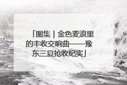图集｜金色麦浪里的丰收交响曲——豫东三夏抢收纪实