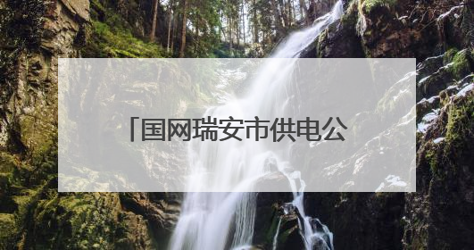 国网瑞安市供电公司：绿色同行添动力 低碳赋能环境日