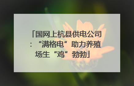 国网上杭县供电公司：“满格电”助力养殖场生“鸡”勃勃