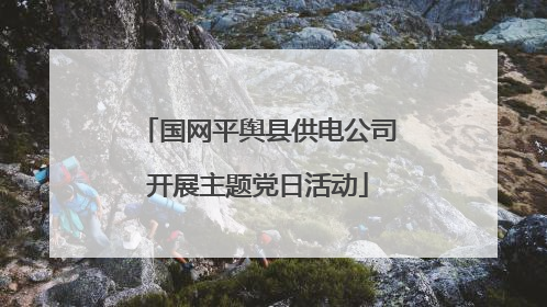国网平舆县供电公司开展主题党日活动