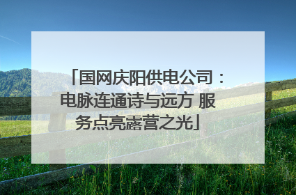 国网庆阳供电公司：电脉连通诗与远方 服务点亮露营之光