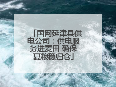 国网延津县供电公司：供电服务进麦田 确保夏粮稳归仓