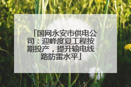 国网永安市供电公司：迎峰度夏工程按期投产，提升输电线路防雷水平