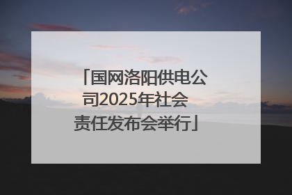国网洛阳供电公司2025年社会责任发布会举行