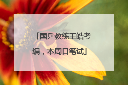 国乒教练王皓考编，本周日笔试