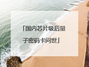 国内芯片级后量子密码卡问世
