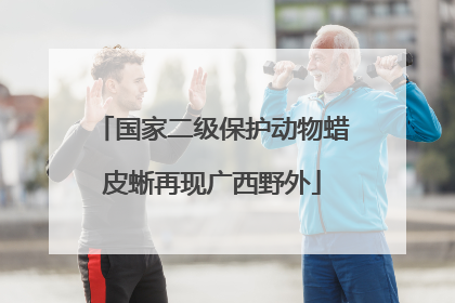 国家二级保护动物蜡皮蜥再现广西野外